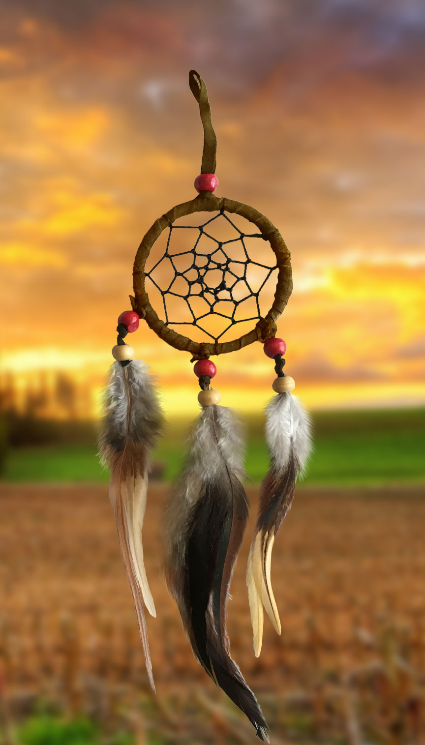 2-1/2" diameter ring wrapped in authentic chocolate brown leather with chocolate brown leather straps and brown & white feathers and brick red and beige wooden beads on a golden background.